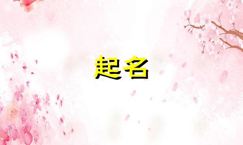 中江起名公司有哪些名字