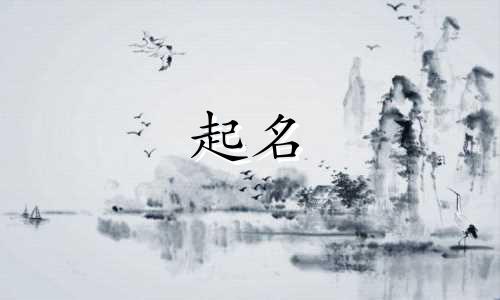 云阳中介起名公司有哪些