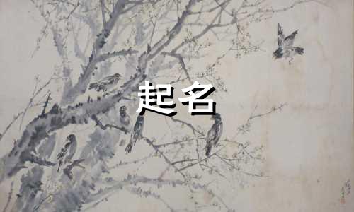 狗狗起名的缘由有哪些