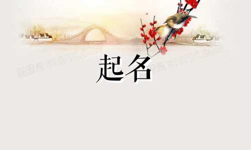 商标品牌起名软件有哪些