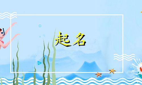 起名高级词汇有哪些词