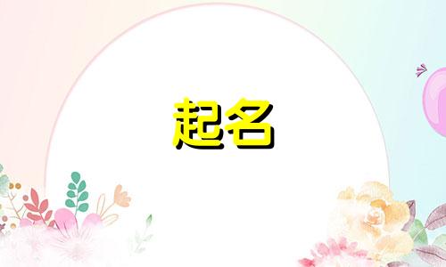 起名软件登录问题有哪些