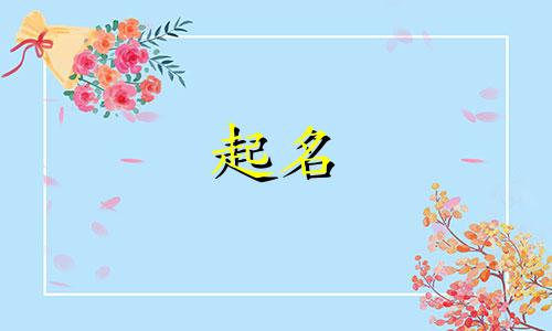 邵武公司起名老师有哪些