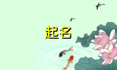 部门起名软件有哪些好用