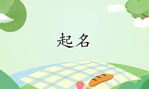 美字起名注意哪些字体呢
