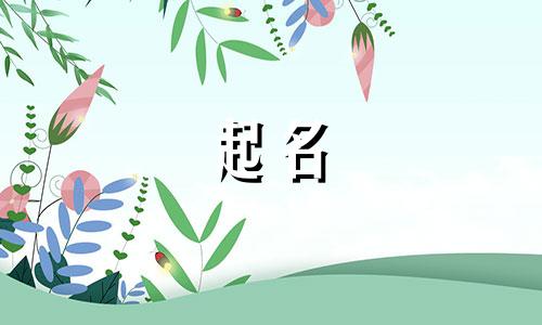 应该开哪些店名好起名