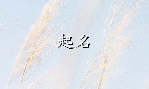 熊猫起名方式有哪些种类