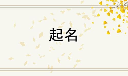 纹身起名软件有哪些好用