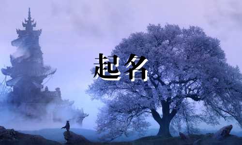 传统起名文化有哪些特点