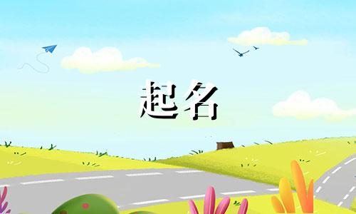 关于主角起名技巧有哪些