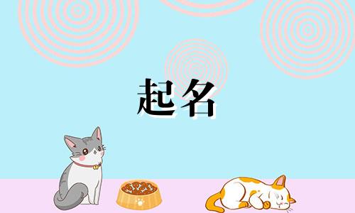 国内公司起名风格有哪些