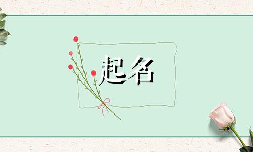 起名动词有哪些词语呢