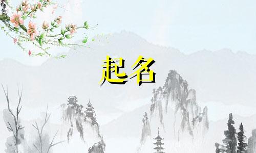 花茶起名创意名字有哪些