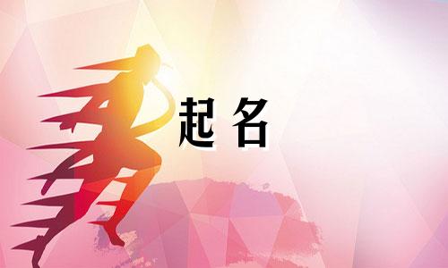 宠物起名派别有哪些好听