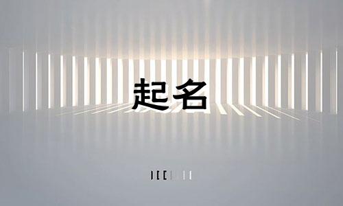 起名大赛活动内容有哪些