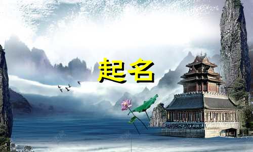 小狗起名姓氏有哪些字母