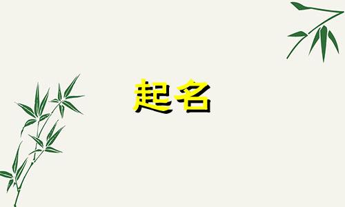 小狗起名名牌有哪些名字