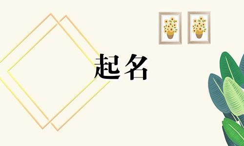 涟水起名大师有哪些名字