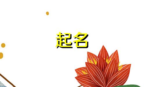 安全起名软件有哪些好用