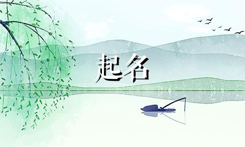 给鹦鹉起名技巧有哪些