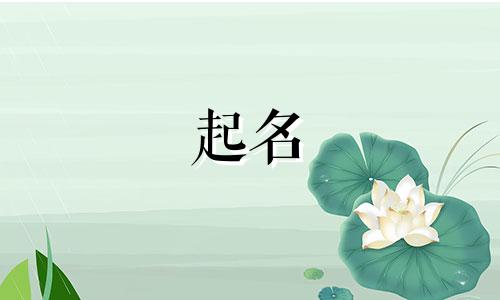 品牌起名鬼才案例有哪些