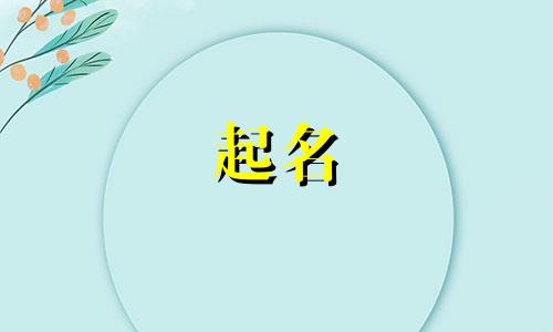 起名业务收入包括哪些