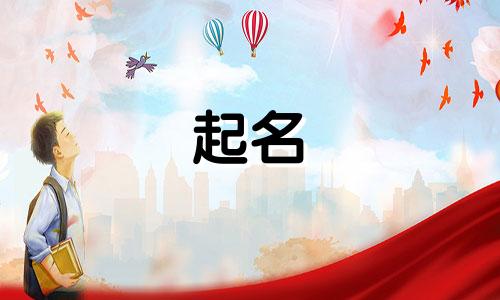 起名文案标题有哪些字体