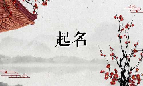 不俗的诗词起名有哪些