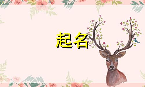 龙宝宝起名适用哪些字