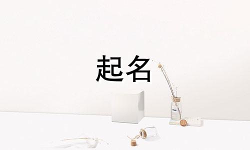 阳有哪些词语公司起名