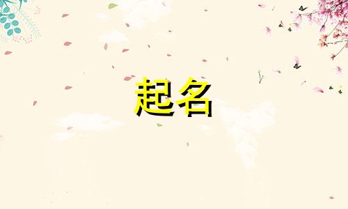 做保险团队起名讲究哪些