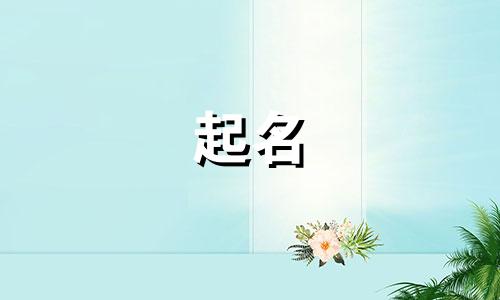 古风起名特效软件有哪些