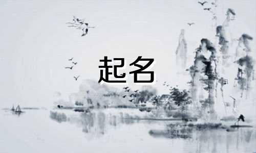 起名高级小众字体有哪些
