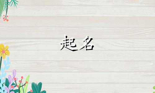 哪些姓很难起名的人呢