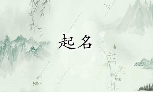 公司起名的书籍有哪些