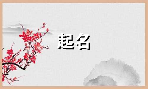 艺术涂料起名器有哪些