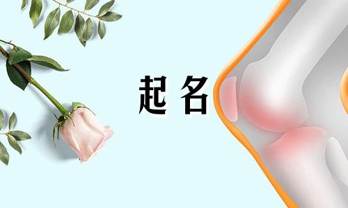 汽车起名奇葩字母有哪些