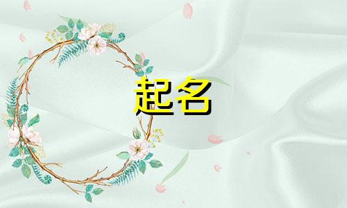 长春在线起名平台有哪些