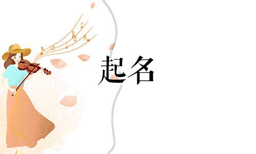 哪些文章可以用来起名