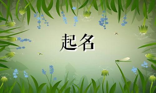 昆明风水起名公司有哪些