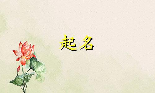 钓竿品牌起名有哪些好听