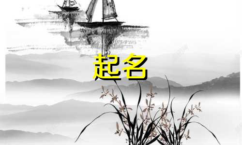 起名服务小程序有哪些