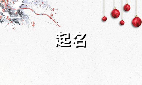 给公司起名应是哪些字体