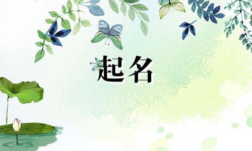 情侣开店起名软件有哪些