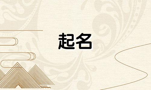 韩国饮料起名方法有哪些