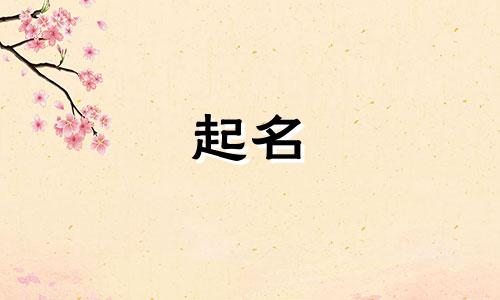 晋州起名公司有哪些名字