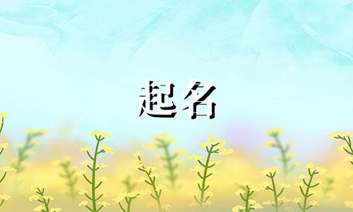 彩绘起名创意字母有哪些