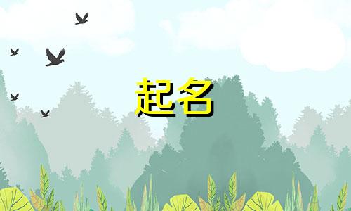 全城起名活动内容有哪些