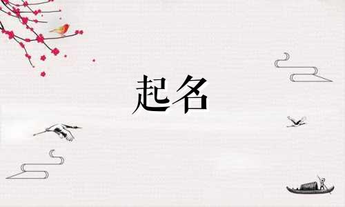 邮箱起名后缀有哪些名字