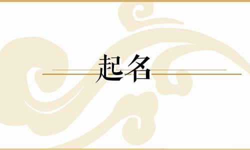 瑞泽起名公司有哪些品牌
